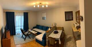 Апартаменты Apartman Tesic Будва Апартаменты с 1 спальней-8